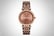 MICHAEL-KORS-MK3416-LADIES-DARCI-WATCH-1