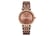 MICHAEL-KORS-MK3416-LADIES-DARCI-WATCH-2