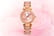 MICHAEL-KORS-MK6110-MINI-PARKER-WOMEN’S-PVD-ROSE-WATCH-1