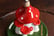 Mushroom-Backflow-Incense-Burner-4