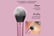 Real-Technique-Makeup-Brush-Complete-Face-Set-5