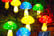 MUSHROOMS-6