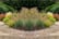 feed_opt_google_