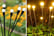 LED-Sway-by-Wind-Solar-Powered-Fairy-Firefly-Lights-3