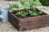 Wooden-Raised-Garden-Bed-10