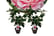 Camellia-japonica-'japanese-rose'---set-of-2,-3-options-1