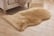 Faux-Fur-Fluffy-Sheepskin-Rug-10