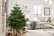 Fresh-Cut-Christmas-Tree-1