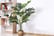 Artificial Plant Pot Tree-1