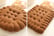 Biscuit-Plush-Pillow-5