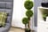 Decorative-Artificial-Plants-Boxwood-2