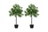 Set-of-2-Artificial-Topiary-Bay-2