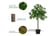 Set-of-2-Artificial-Topiary-Bay-4