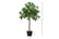 Set-of-2-Artificial-Topiary-Bay-5