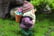 7-Hand-painted-Fairy-Resin-Garden-Gnomes-4