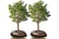 2-Pack-10-Gallon-Tree-Watering-Ring-Bag-2