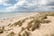 Camber Sands