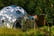 Simple-Dome-2-1024x533