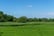 meadow-view-river-view-with-cows