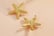 Gold-Starfish-Earrings-3