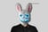 LED-Halloween-Masks---4-Options-6