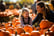 Pumpkin Entry, Pumpkin & Hot Drinks - Westwinds Pumpkin Patch, Glasgow