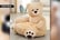 Plush-Kids-Animal-Mini-Sofa-6