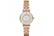 ar1909-1.j1732534528933