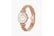 AR1909-7.j1732534529943