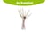 Harkness-Rose-'Chawton-Cottage-Bare-Root-2