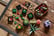 feed_opt_google_Succulent-Plant-Building-Brick-Blocks-6