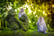 AdobeStock_79139482
