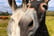 Loch Lomond Faerie and Nature Trail Vouchers Xmas 2024