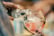 The Gin To My Tonic Gin, Rum & Vodka Festival - General Admissions Ticket - 29 Locations 5