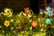 feed_opt_google_