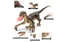 Walking & Roaring Remote Controlled Velociraptor Dinosaur Toy 5