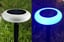 7-Color-Outdoor-Decorative-Led-Solar-Garden-Light-3