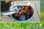 Weed-Burner-6
