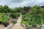 Feed the Animals & Hot Drink: Stonebridge City Farm