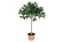 Artificial-Olive-Tree-Plant-2