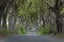 renditionDownload (24)