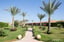 Sharm-El-Sheikh-Xperience-St.-George-Homestay-Garden