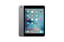 Apple-iPad-Mini-1st-Gen-2