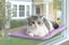 Cat-Window-Perch-with-Suction-Cups-4