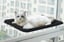 Cat-Window-Perch-with-Suction-Cups-5