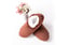 Fleece-Slipper-5