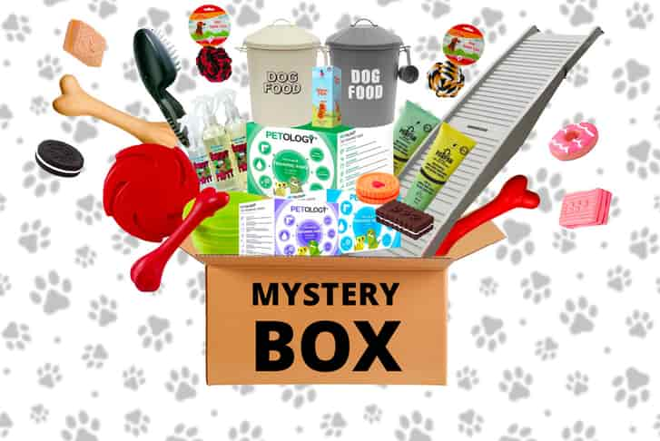 Dog mystery box best sale