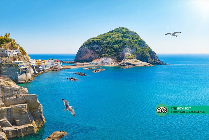 Ischia, Italy, Stock Image - Giant Green Rock CoE