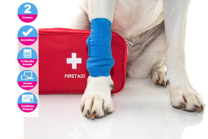 PET-FIRST-AID-&-ANIMAL-CARE