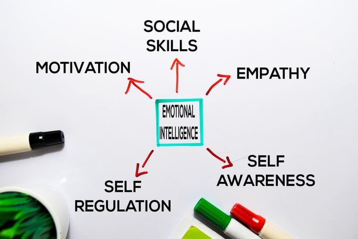 Emotional Intelligence & Resilience Diploma